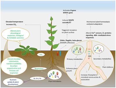 Interference of Climate Change on Plant-Microbe Interaction: Present and Future Prospects